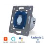 Welaik modul radenie 1 WIFI.jpg